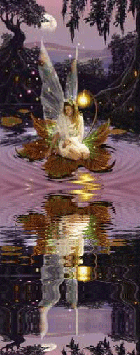 Bonjour tout le monde...le trop...